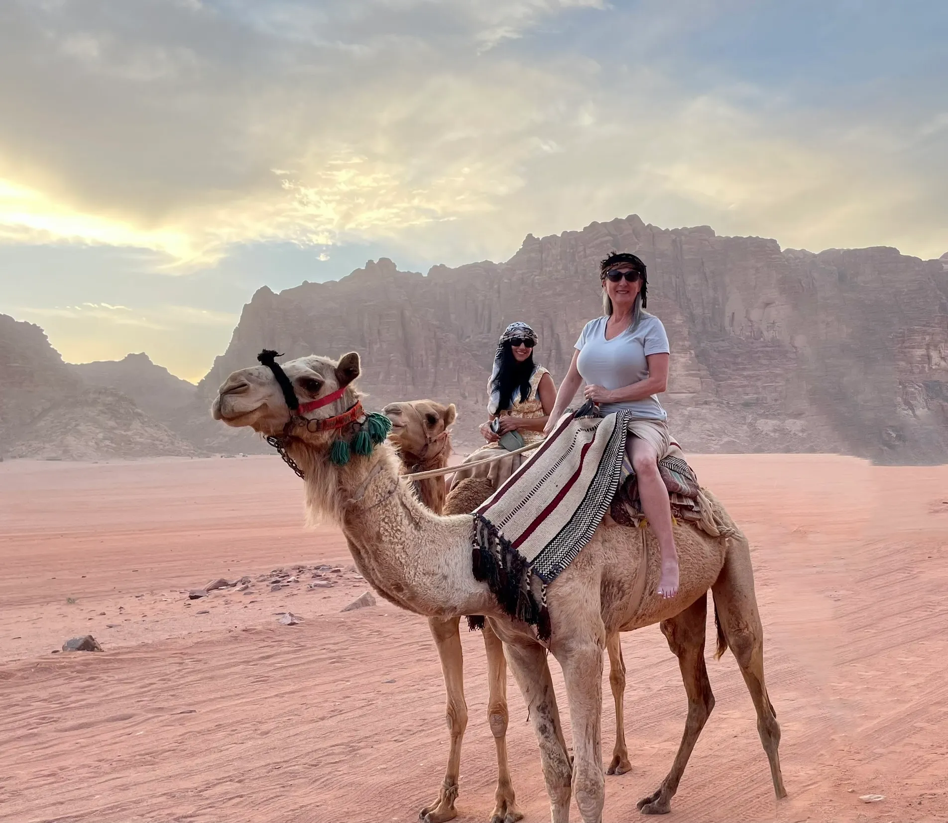 Full-Day Camel Tour in Wadi Rum (7-8 Hours) - Lawrence Spring, Khazali Canyon, Lawrence House, Anfishiyyeh